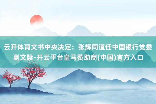 云开体育文书中央决定：张辉同道任中国银行党委副文牍-开云平台皇马赞助商(中国)官方入口
