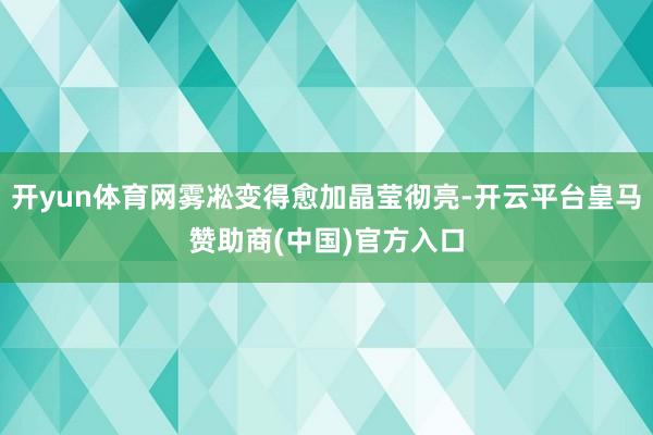 开yun体育网雾凇变得愈加晶莹彻亮-开云平台皇马赞助商(中国)官方入口