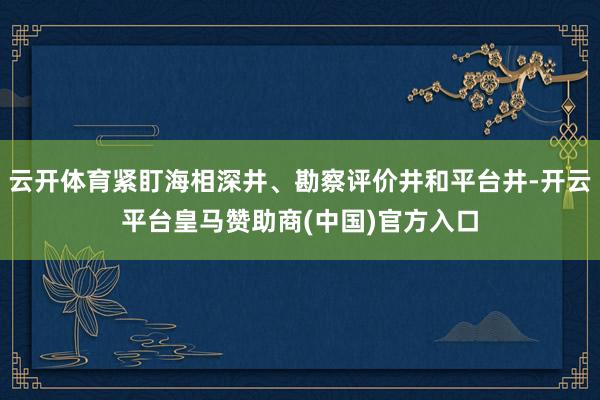 云开体育紧盯海相深井、勘察评价井和平台井-开云平台皇马赞助商(中国)官方入口